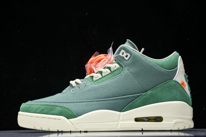 nina Ch*el abney x air jordan 3 fz7974-300