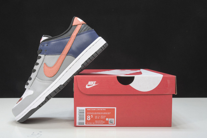 nike dunk low ekin dc7454-100