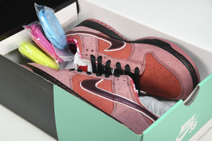 nike sb dunk low concepts red lobster 313170-661