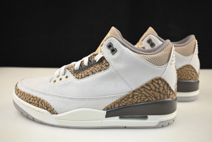 air jordan 3 palomino ct8532-102